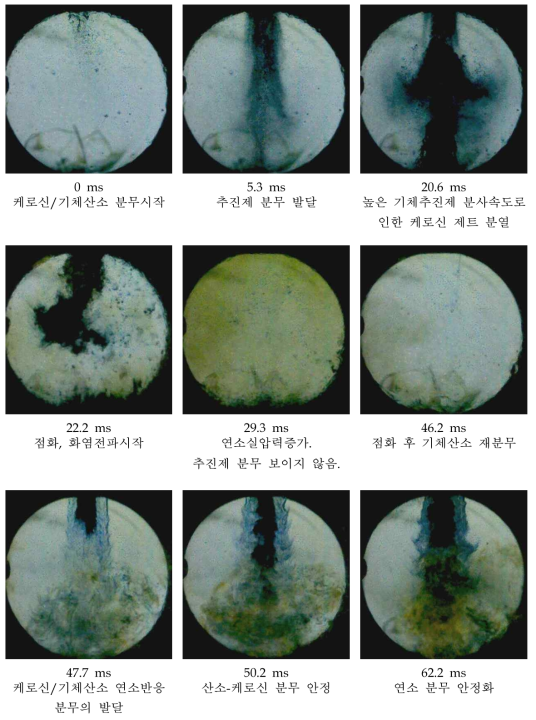 기체산소/케로신 분무의 점화 시, 분무-연소 유동장의 시간에 따른 아임 계-초임계 과도 거동