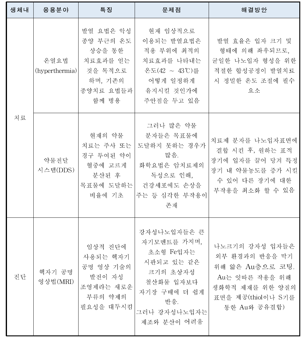 자성나노입자를 활용한 의학적 응용 (체내 응용)