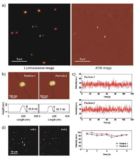 단일입자 수준에서의 AFM과 발광이미징을 이용한 기능성 나노입자 이미징