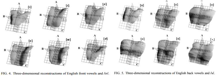 EPG 기반의 모음 발화에 따른 혀의 움직임 패턴에 대한 3차원 분석