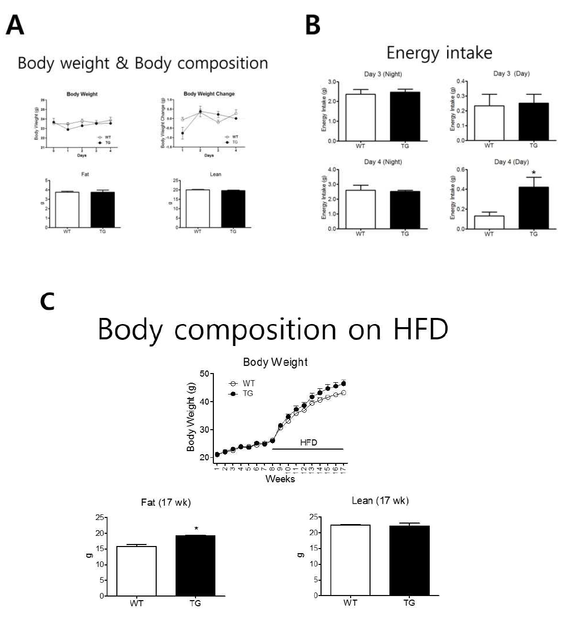 WT과 PHF20 TG 마우스 HFD(60%) 식이 후 몸무게, food intake와 lean과 fat 무게 확인