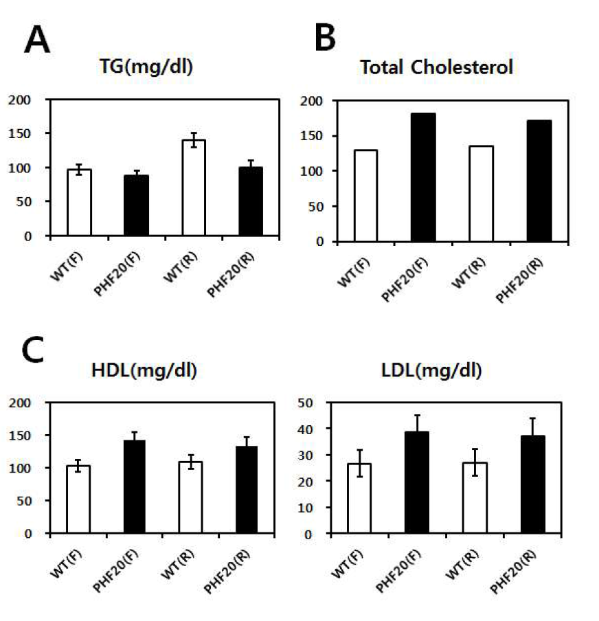 WT과 PHF20 TG 마우스를 60% high Fat diet 16주간 시행 후, 공복과 재식이 후 혈액 분석