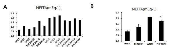 WT과 PHF20 TG 마우스를 60% high Fat diet 16주간 시행 후, 공복과 재식이 후 혈액에서 insulin과 leptin 수치 (A,B) non-esterified fatty acid (plural non-esterified fatty acids)수치