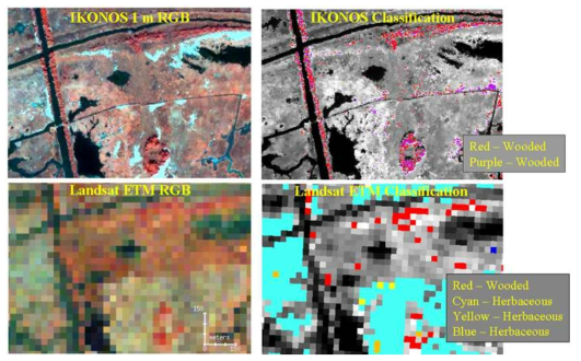 IKONOS와 Landsat의 해상도 차이 및 분류 결과 비교
