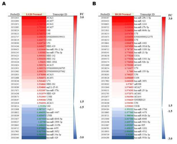 Differentially regulated miRNAs in tissues from normal group compared with low-grade dyspl asia (A)/High-grade dysplasia (B)