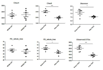 야생형과 NR0B2 유전자 결손 마우스에서의 α-diversity 측정