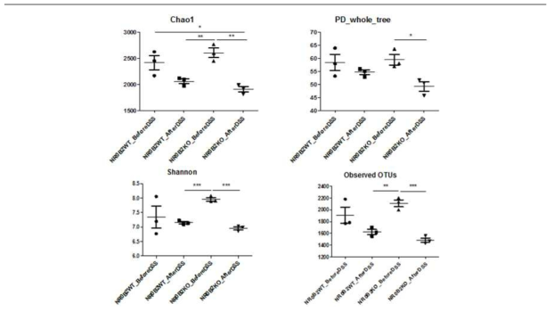 야생형과 NR0B2 유전자 결손 마우스에서의 DSS 처리 전과 후의 α-diversity 측정