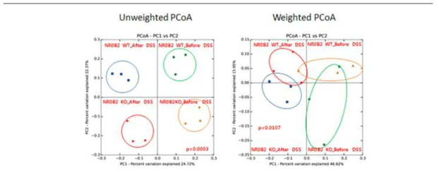 야생형과 NR0B2 유전자 결손 마우스에서의 DSS 처리 전과 후의 β-diversity 측정
