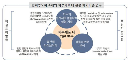 제어 효능분석 및 세포기작 연구