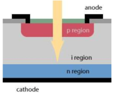 P-i-N 광다이오드 구조
