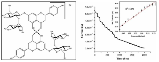 Flavonoid-metal complex를 이용하여 활성화 산소를 검출한 결과.