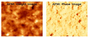 본 연구자가 유기반도체전자소자 연구를 진행하면서 측정하였던 유기반도체 박막의 AFM 이미지