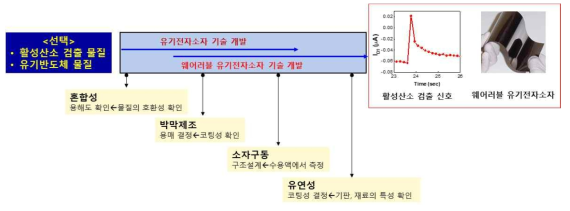 본 과제의 추진 및 과제 수행시 문제점 해결 방안