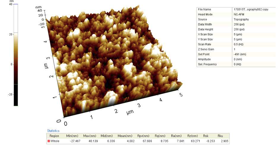 전처리 전 페릴렌 코팅 박막의 AFM 이미지 5 micro - 0.5 Hz