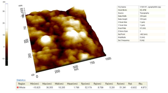 실란 전처리가 도입된 페릴렌 코팅 박막의 AFM 이미지 1 micro – 0.5 Hz