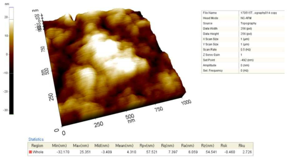 플라즈마 전처리가 도입된 페릴렌 코팅 박막의 AFM 이미지 1 micro - 0.5 Hz