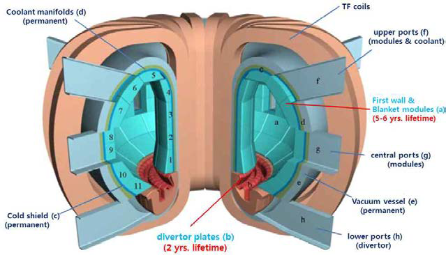 핵융합로의 내부구조 단면 모식도