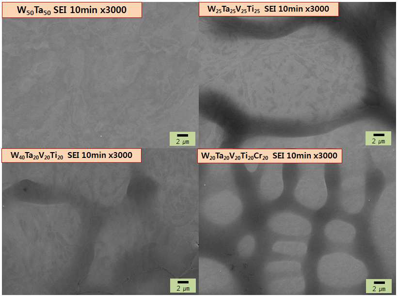 각 텅스텐계 합금에 대해 중이온 조사 10분 하였을 때의 FE-SEM 결과.
