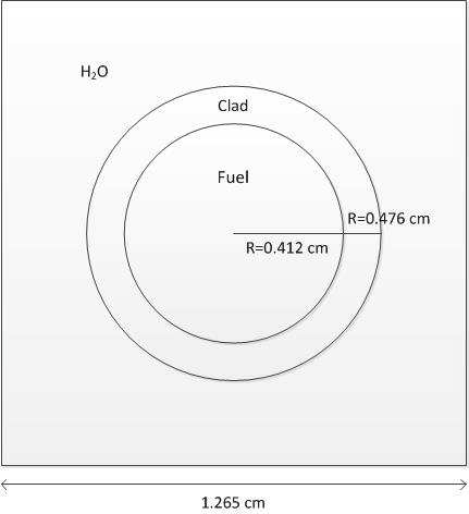 PWR Fuel Pin 문제의 구조