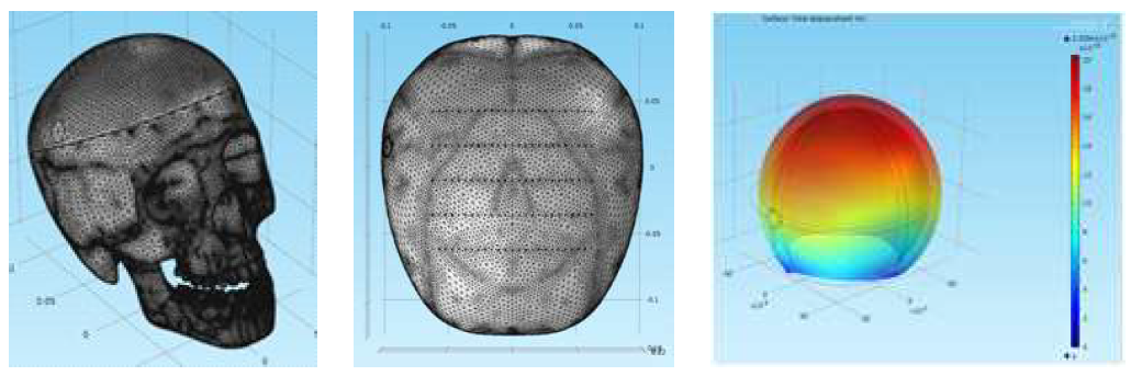 (좌) 두개골 전체 모델 (중) 두개골 상부 모델 (우) 단순화된 모델