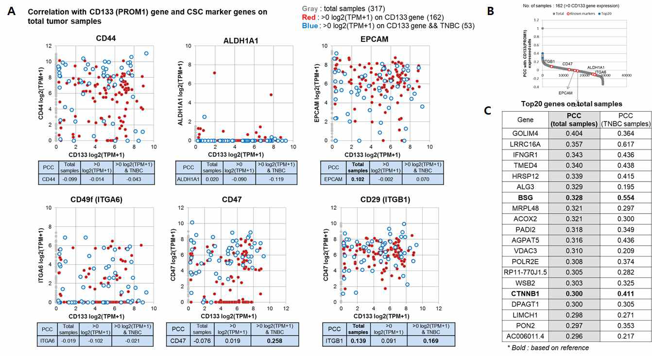 문헌에서 알려진 유방암 줄기세포 마커인 CD133을 이용한 correlation 분석 (A) 알려진 암줄기세포 마 커와의 correlation (B) 전체유전자 correlation (C) TOP20 유전자