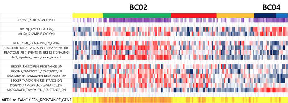 Her2 amplification 환자의 MED1 발현차이와 tamoxifen resistance signature 차이