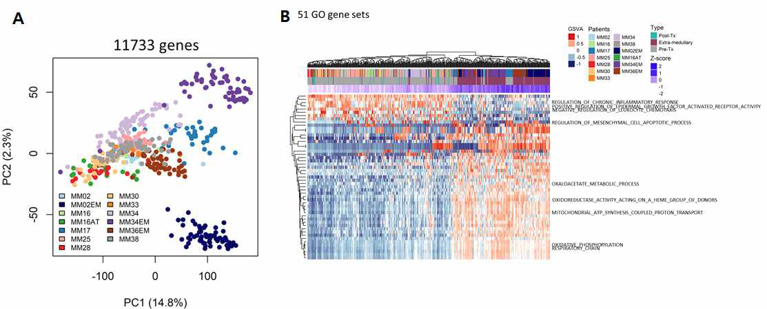 Extramedullary myeloma(EM) 세포의 integrin subunit, IL-6 module, chemokine module 발현 증가.