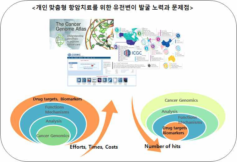 Genomic data의 폭발 적인 증가로 발견되는 암 돌연 변이 숫자가 폭발적으로 증가 하였음.