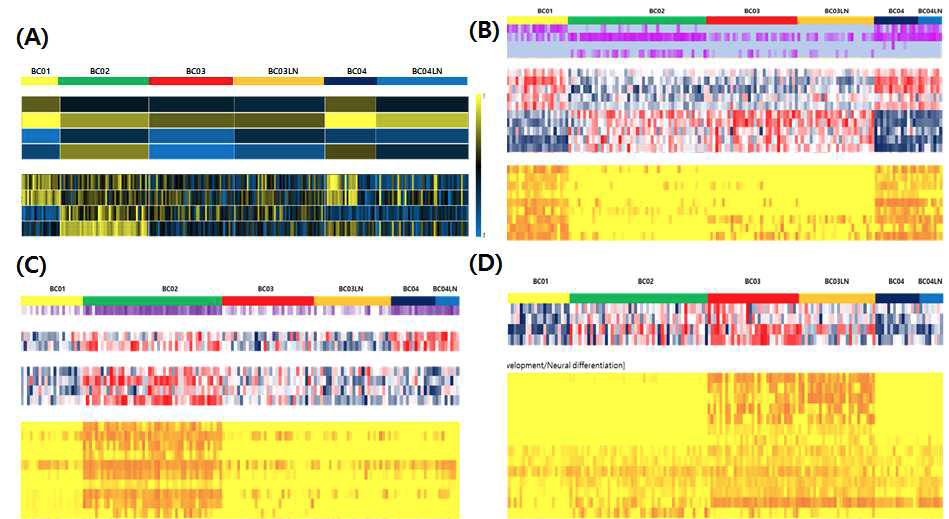 환자별 단일세포의 gene expression 특징 (A) 암조직이나 암세포를 분리하지 않고 단일세포 분석을 수행한 경우 ER, PR, Her2 발현, Her2 amplification signature (순서대로, bulk, 단일세포)가 뚜렷 이 분리되지 않음. (B) 암세포만을 분리 분석한 경우 #1, #4 환자의 ER pathway (red in up-signature, blue in down-signature), 유전자 발현 (orange in high, yellow in low expression) (C) #2 환자의 Her2 amplification과 activation (D) #3 TNBC 환자의 유전자 발현 패턴 확인 가능