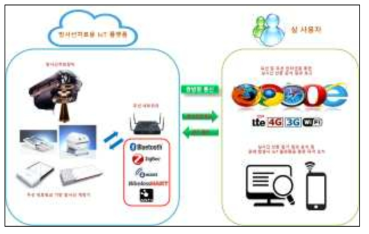 IoT 기반 실시간 방사선량 평가 플랫폼