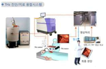 테라헤르츠 광원 기반 융합 의료용 영상 진단 장치 및 치료 시스템