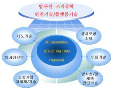 방사선조직공학 원천기술/플랫폼기술 추진전략