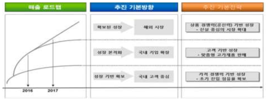 매출 로드맵에 따른 시장 진출전략