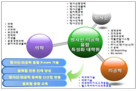 방사선의공학 융합특성화 대학원 교육과정