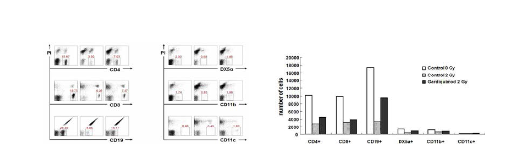 TLR7의 ligand인 Gardiquimod투여로 인한 면역세포 생존률 증가.