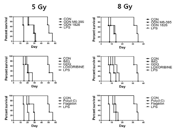 In vivo model에서 TLR 자극에 의한 방사선으로부터 생체보호 효과 확인.
