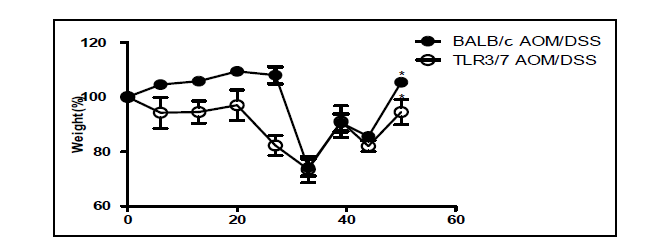 AOM/DSS 투여 후 마우스 체중 변화.