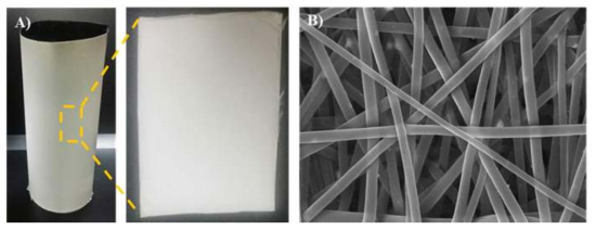 전기방사를 통해 고분자에 리간드 Ⅴ을 도입하여 제조한 나노 섬유 필름 (nanofibrous film-Ⅴ, NF-Ⅴ) (A)과 NF-Ⅴ의 주사전자현미경 사진 (B).