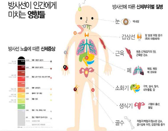 방사선이 인간에게 미치는 영향.