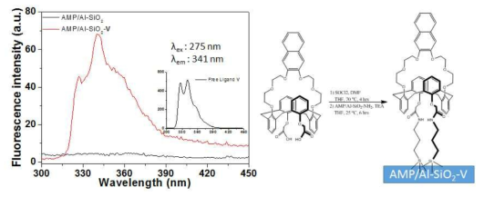 AMP/Al-SiO2-Ⅴ 나노입자의 형광 스팩트럼.