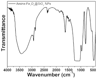 Amine 작용기가 도입된 Fe3O4@SiO2 나노입자의 IR 스팩트럼.