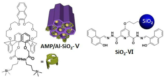 AMP/Al-SiO2-V 및 SiO2-VI의 화학구조.