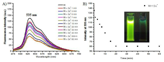 리간드 Ⅵ 수용액에 리간드 세슘 이온 50 당량을 첨가 하였을 때 시간 경과에 따른 형광 스펙트럼 (A)와 시간 경과에 따른 535 nm에서 형광 세기를 도시한 그래프 (B).