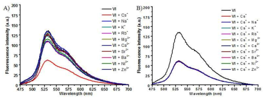 물과 DMF 혼합용매 (99:1 v/v%)에서 리간드 Ⅵ 수용액에 다양한 금속 이온을 첨가 했을 때 형광 스펙트럼 (A)와 리간드 Ⅵ 수용액에 세슘 이온과 세슘 이온을 포함한 다양한 금속 이온을 첨가 했을때 형광 스펙트럼 (B).