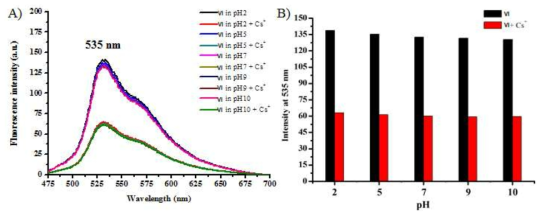 리간드 Ⅵ 수용액에 리간드 Ⅵ 대비 세슘 이온 50 당량을 첨가 하였을때 pH 변화에 따른 형광 스펙트럼 (A)와 리간드 Ⅵ 수용액에 리간드 Ⅵ 대비 세슘 이온 50 당 량을 첨가 하였을 때 pH 변화에 따른 535 nm에서 형광 세기를 도시한 막대그래프 (B).