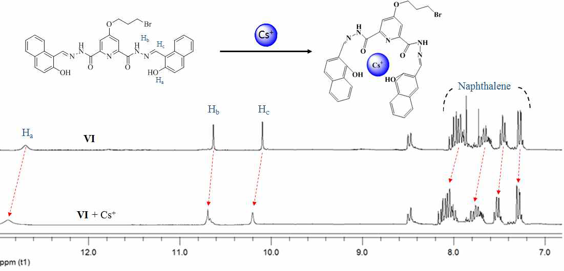 리간드 Ⅵ 수용액의 1H NMR 스펙트럼 (A)와 리간드 Ⅵ 수용액에 세슘 이온 1 당량을 첨가한 용액의 1H NMR 스펙트럼 (B).