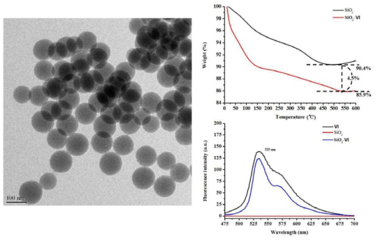 SiO2-Ⅵ의 TEM 사진 (A)과 물과 dimethylformamide 혼합용매 (99:1 v/v%)에서 리간드 Ⅵ 수용액과 SiO2 현탁액과 SiO2-Ⅵ 현탁액을 측정한 형광 스펙트럼 (B). silica nanoparticle과 SiO2-Ⅵ의 TGA 곡선.
