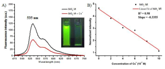 물과 DMF 혼합용매 (99:1 v/v%)에서 SiO2-Ⅵ 현탁액과 SiO2-Ⅵ 현탁액에 세슘 이온을 넣고 측정한 형광 스펙트럼 (A), 물과 DMF 혼합용매 (99:1 v/v%)에서 SiO2-Ⅵ과의 방사성 핵종(세슘이온)에 대한 검출한계 측정 (B) 형광 스펙트럼의 535 nm에서 형광 세기와 세슘이온의 농도를 도시한 눈금 그래프.