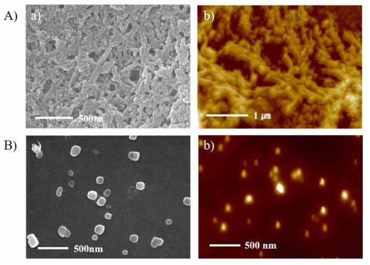 리간드 Ⅷ의 방사성 핵종(세슘이온)첨가 전 (A)와 후 (B)의 형상 차이 (A) 방사성 핵종(세슘이온) 첨가하기 전 (a) SEM (b) AFM 사진. (B) 방사성 핵종(세슘이온) 첨가한 후 (a) SEM (b) AFM 사진