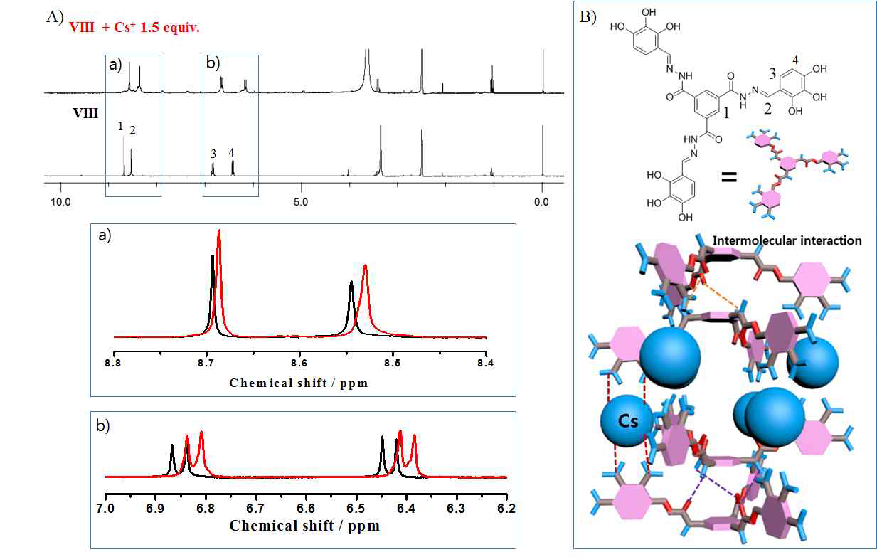 202. (A) 세슘 이온 (1.5 당량) 첨가 전후의 리간드 Ⅷ 수용액의 1H NMR 스펙트럼 및 (B) (A) 결과로 예측한 리간드 Ⅷ-세슘 이온 결합 모형 예측.